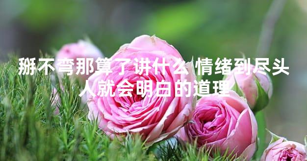 掰不弯那算了讲什么 情绪到尽头人就会明白的道理